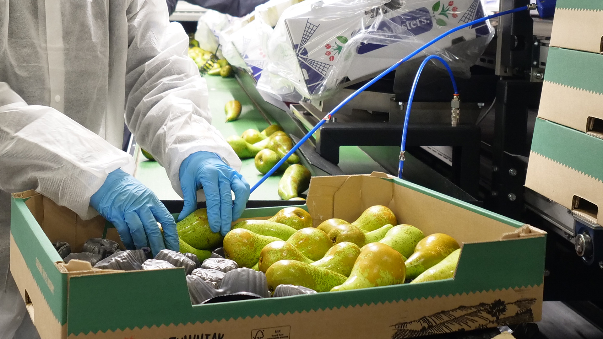 upm-raflatac-case-fruitmasters.jpg